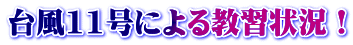 �t�̌�ʈ��S���� 