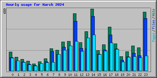 Hourly usage for March 2024